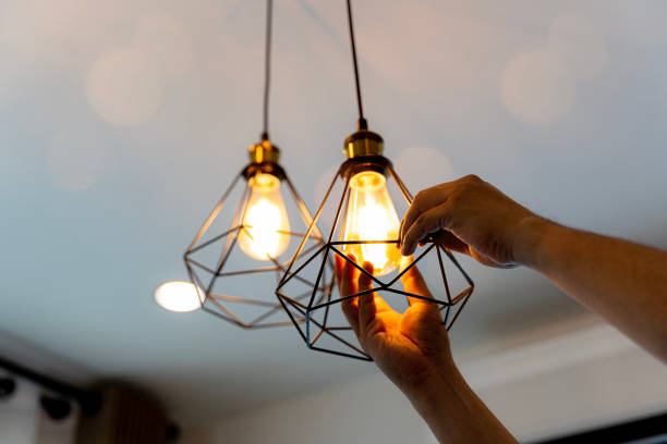 Best Home Electrical Repair  in Omro, WI